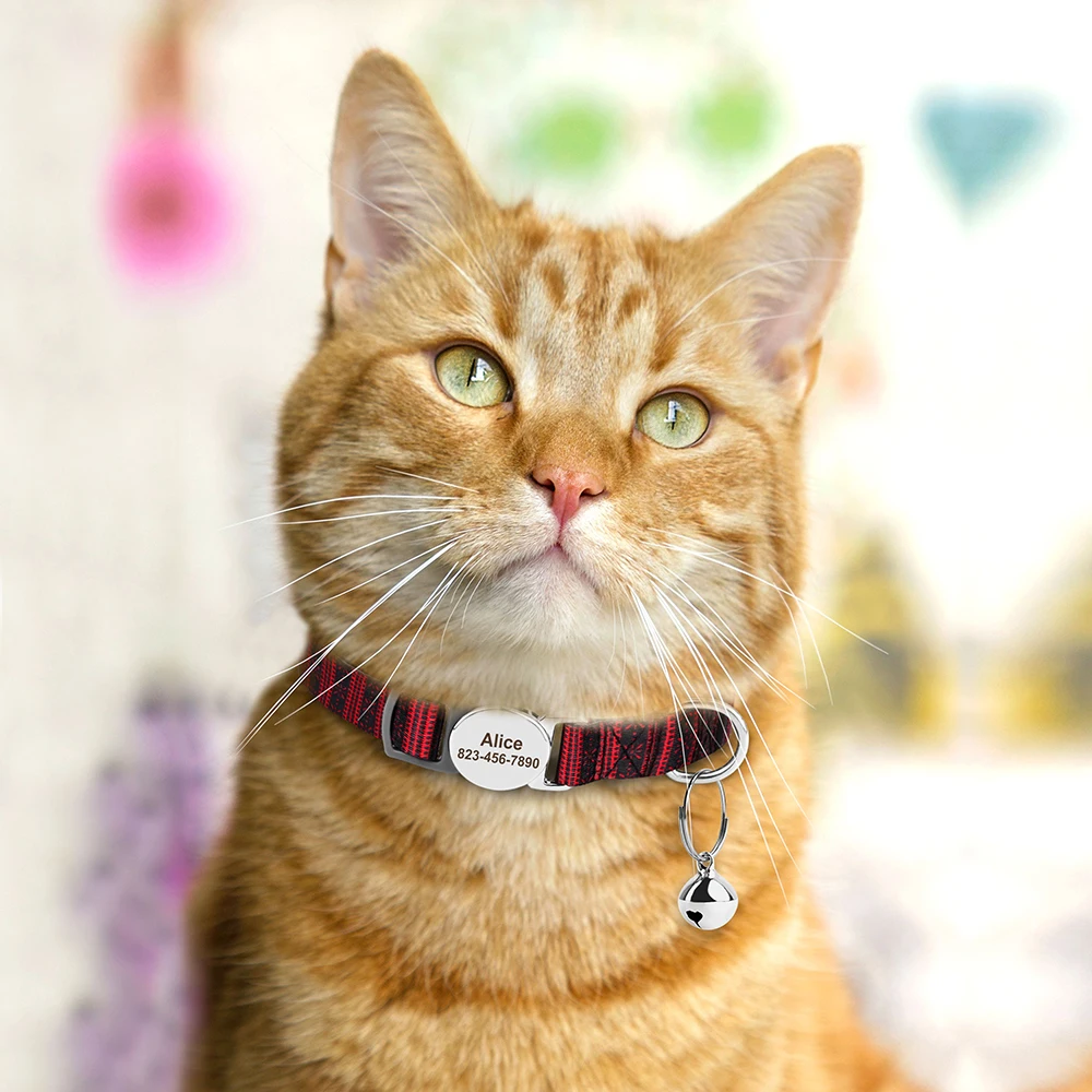 Chat avec notre collier personnalisable pour chat - Edition motifs