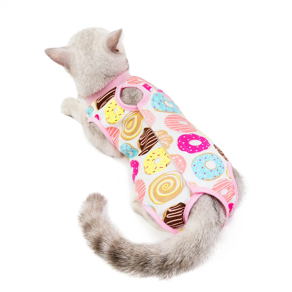 Vêtement anti-léchage "donut" porté par un chat