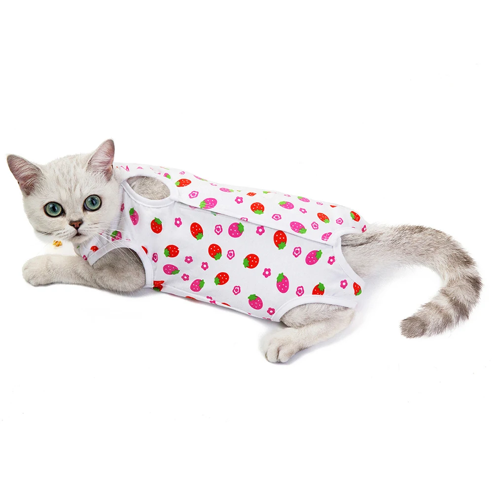 Vêtement anti-léchage "fraises" porté par un chat