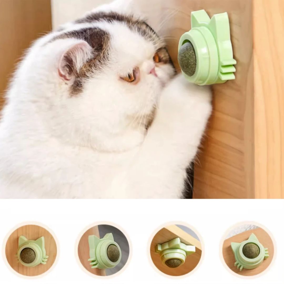 Licky™ : Boule d'herbe à chat murale pour chat