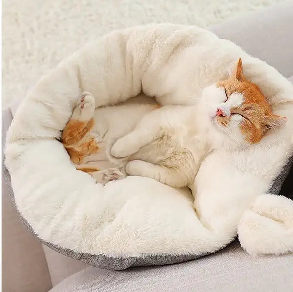 Chat dans un lit douillet en coton pour chat