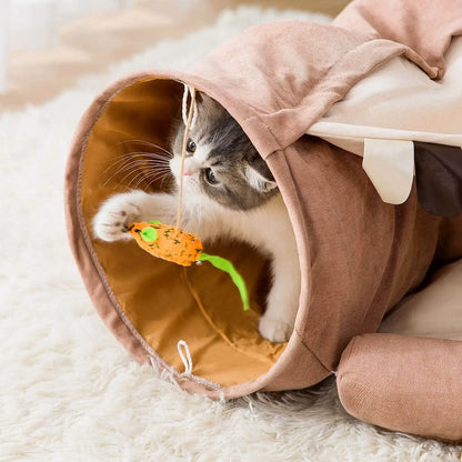 Chat dans le tunnel du lit pliable avec tunnel pour chat