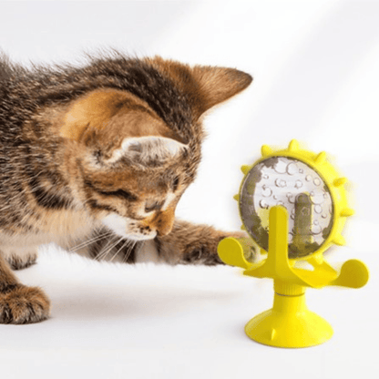 Chat avec une roue interactive à friandises