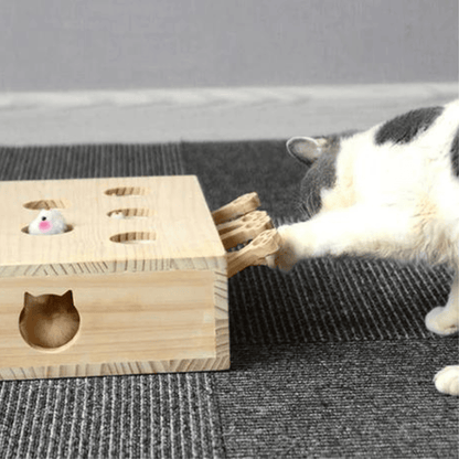 Chat qui joue avec un puzzle de chasse en bois à 5 trous pour chat