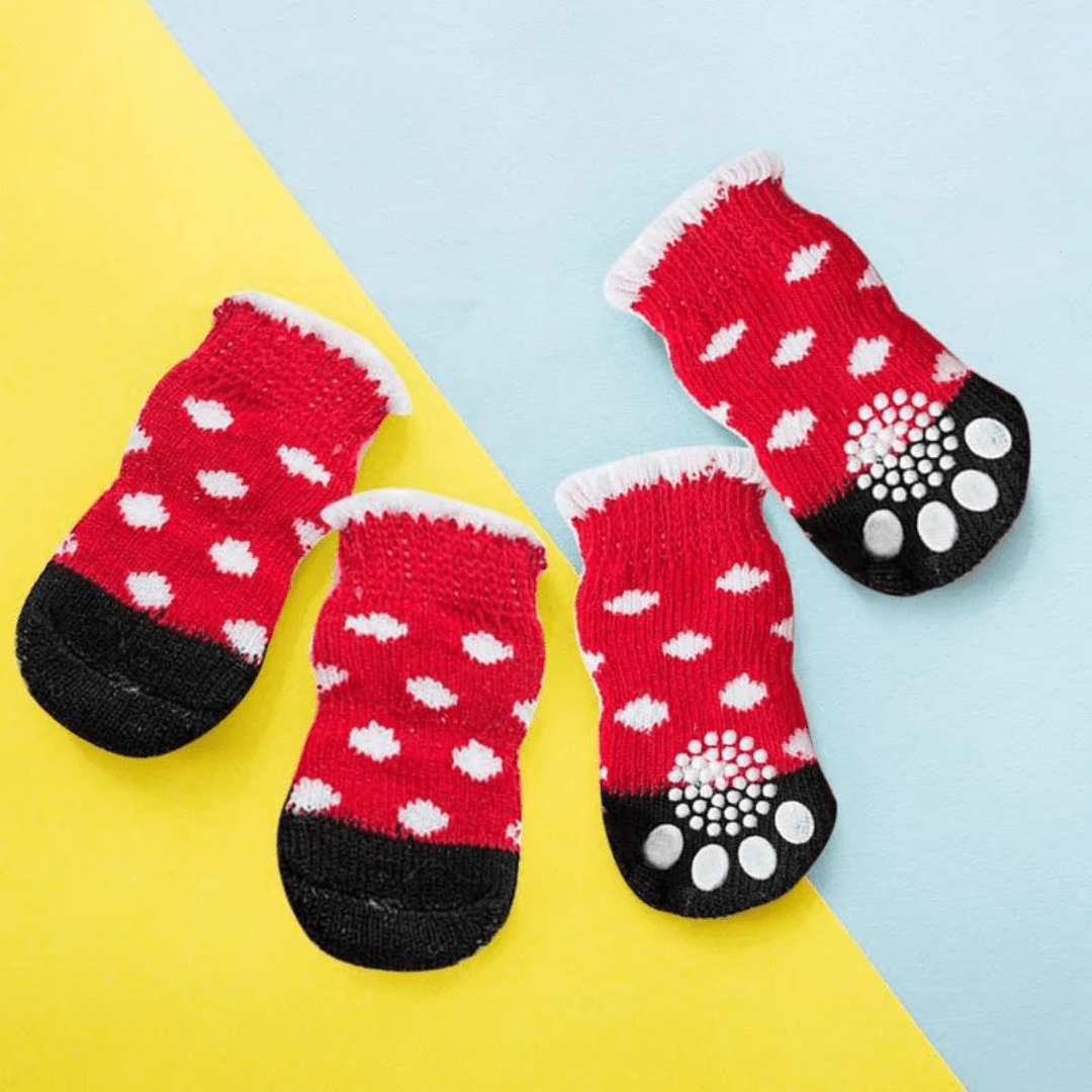 chaussettes pour chien Noël