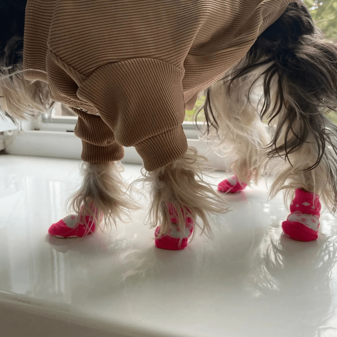 chaussettes pour chien Rose