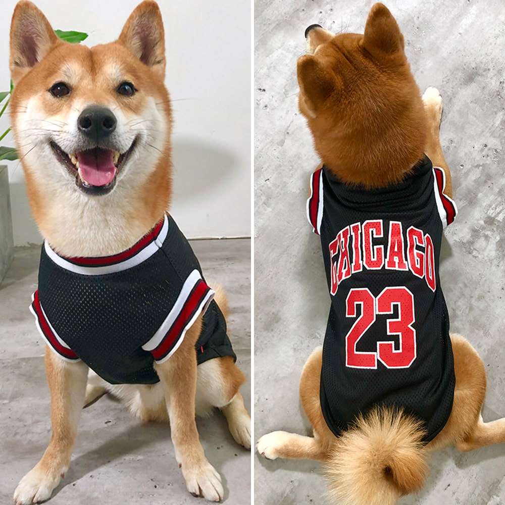 Maillot de basketball pour chien