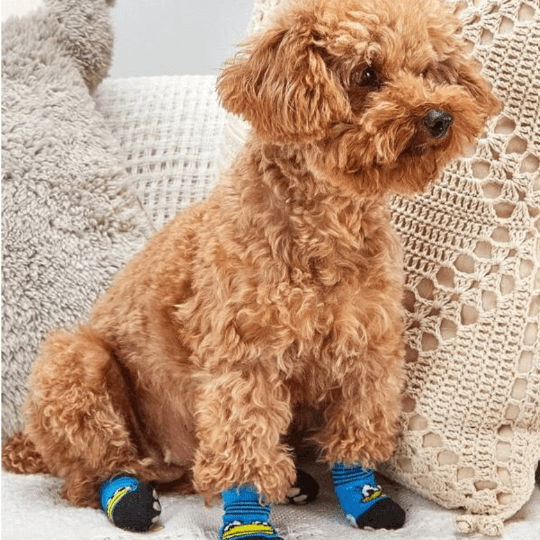 Chaussettes pour chien Canard