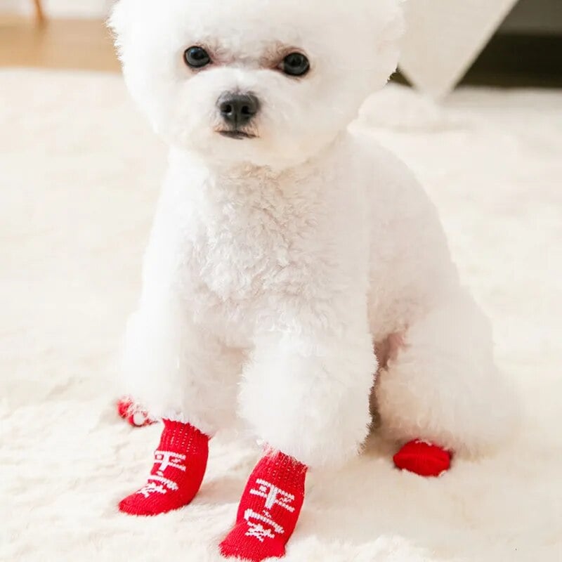 Chaussettes pour chien Japon