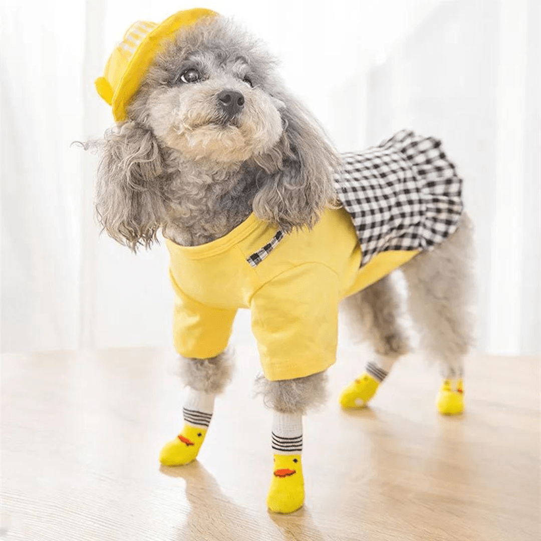 Chaussettes pour chien Jaune avec rayures