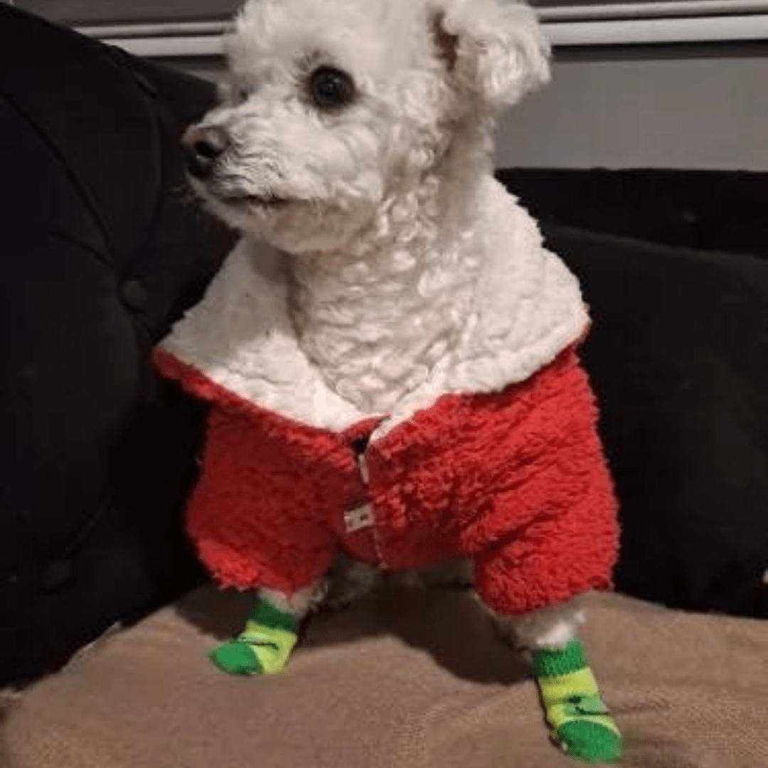 chaussettes pour chien Vert Grenouille