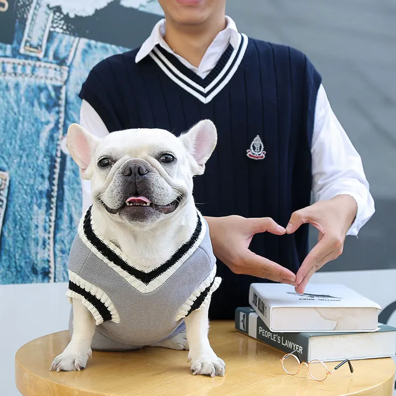 Pull gris style Collège pour chien