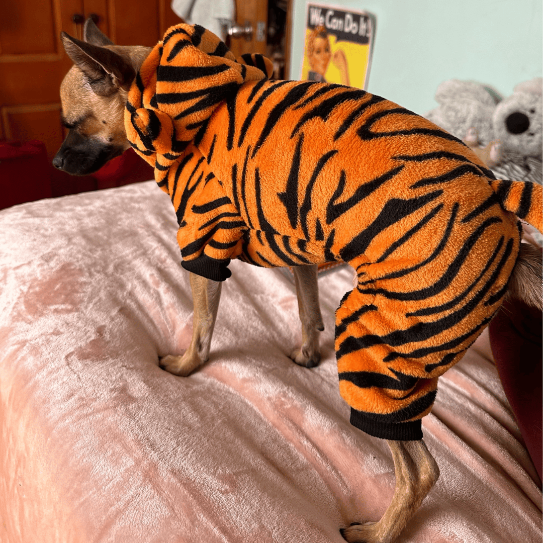 Pyjama tigre pour animaux facile à enfiler