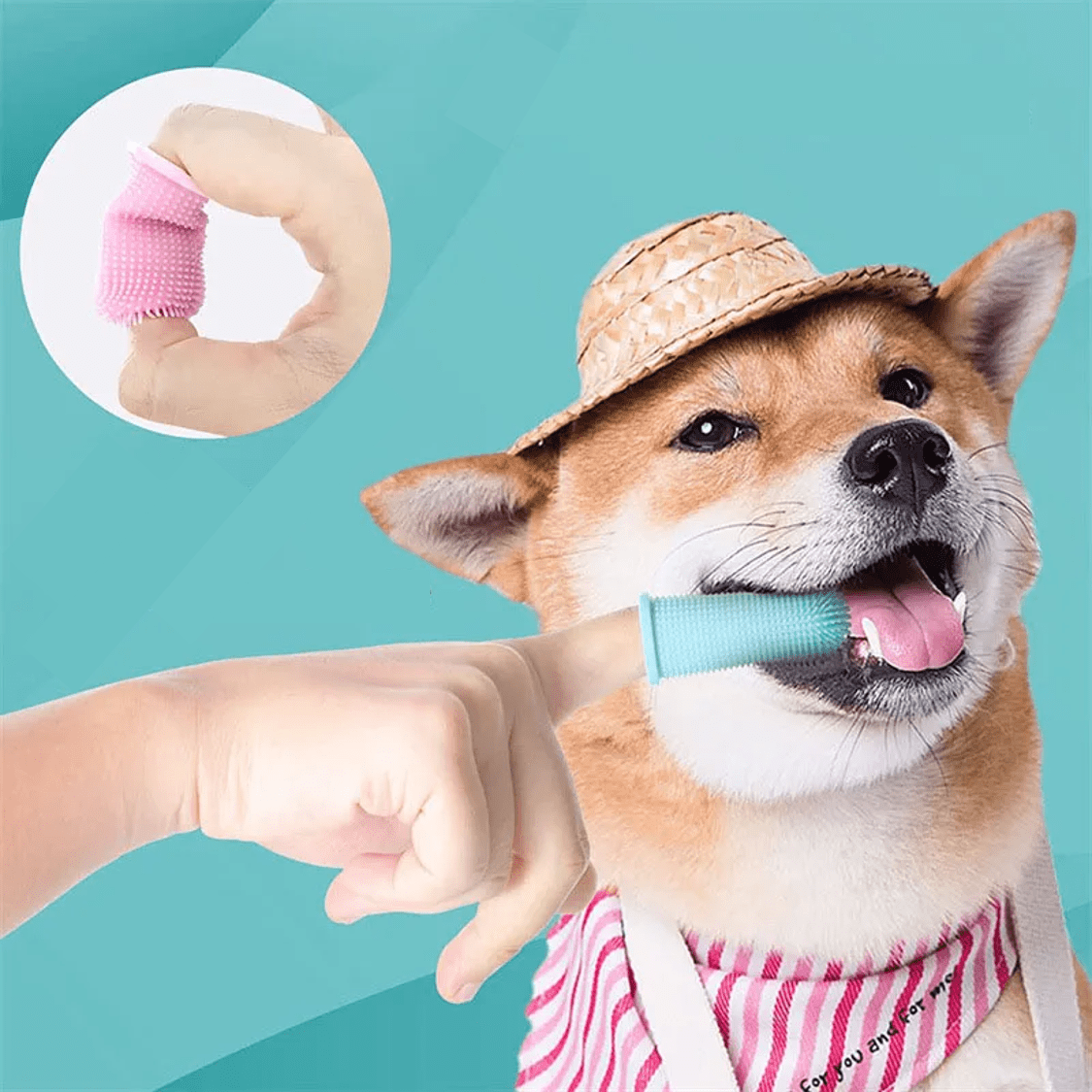 Pourquoi utiliser une brosse à dents en silicone pour chien ?