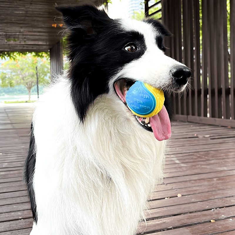 Balle à mâcher interactive pour chien