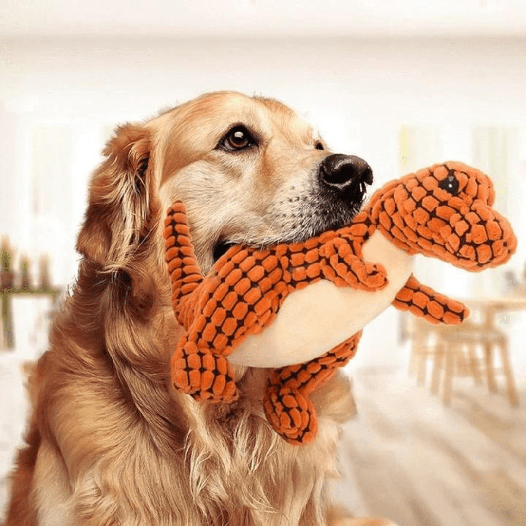 Peluche pour chien en forme de dinosaure orange dans la gueule d'un chien