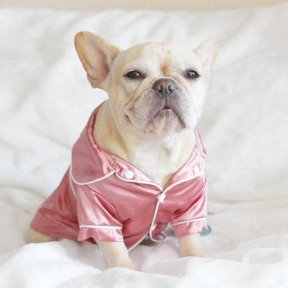Pyjama en soie pour chien