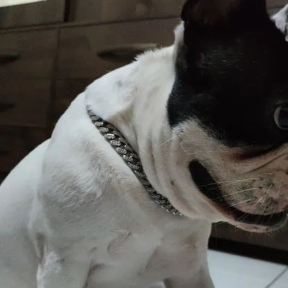Strass™ : Collier strass en acier inoxydable pour chien