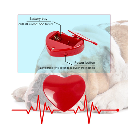 Fonctionnement du coeur à l'intérieur de notre peluche d'apaisement pour chien