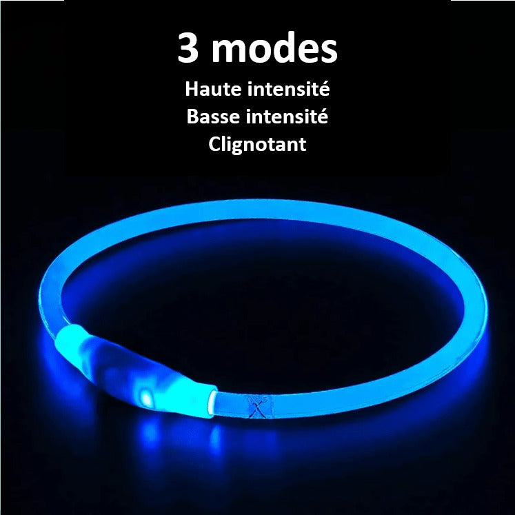 Collier à LED pour chien avec 3 modes