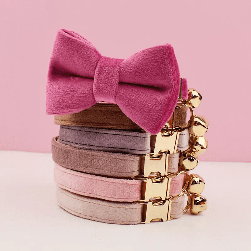 Collection de collier en velours avec nœud pour chat