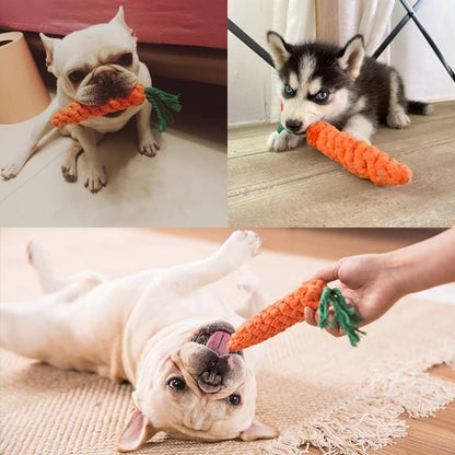 Démonstration du jouet corde en forme de carotte pour chien