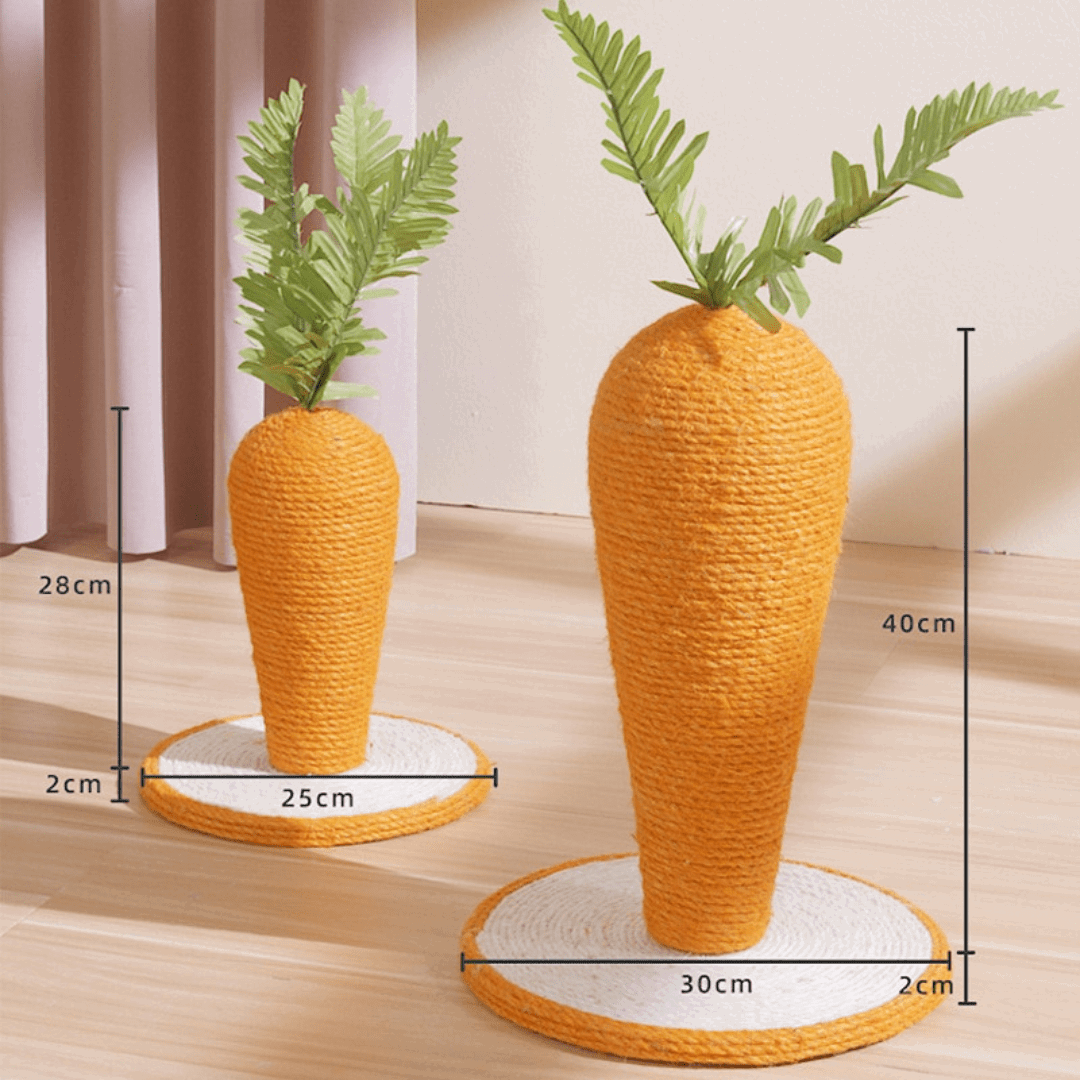 Dimensions du griffoir pour chat en forme de carotte
