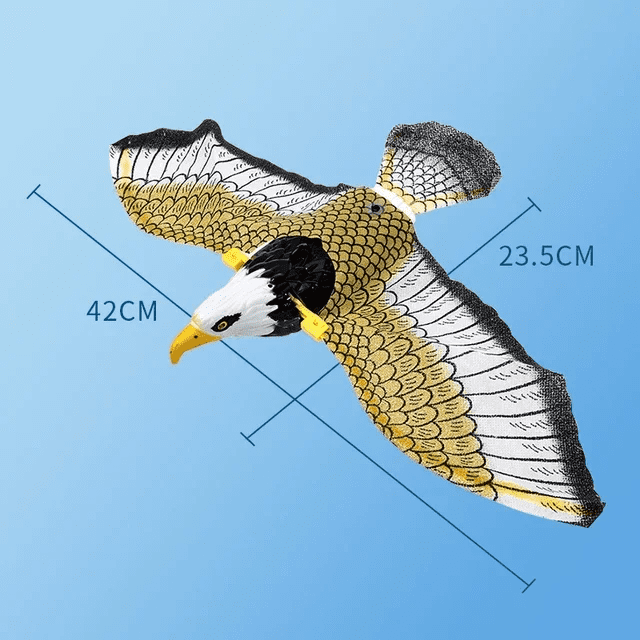 Dimensions de notre aigle volant pour chat