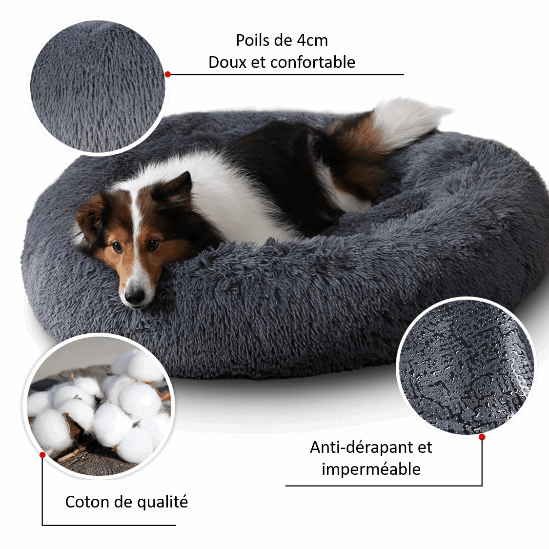 Panier confortable ovale avec rebords pour chien et chat. Inclus jouet