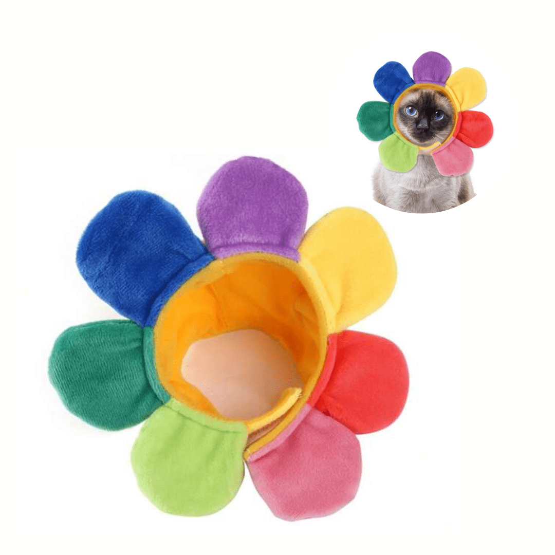 déguisement de tête fleur multicolore pour chat