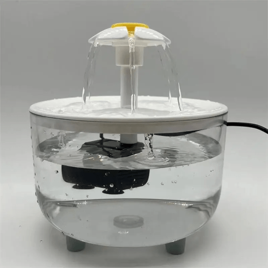 Fontaine à eau pour chat - Fleur transparent