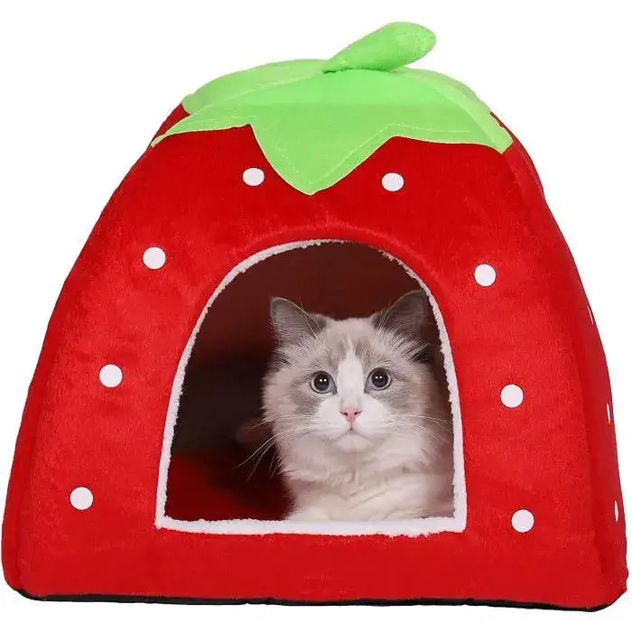 Chat dans un panier pour chat en forme de fraise