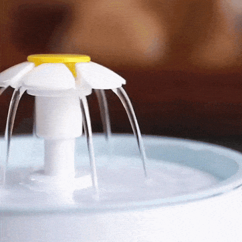 Fontaine à eau ronde avec LED pour chat