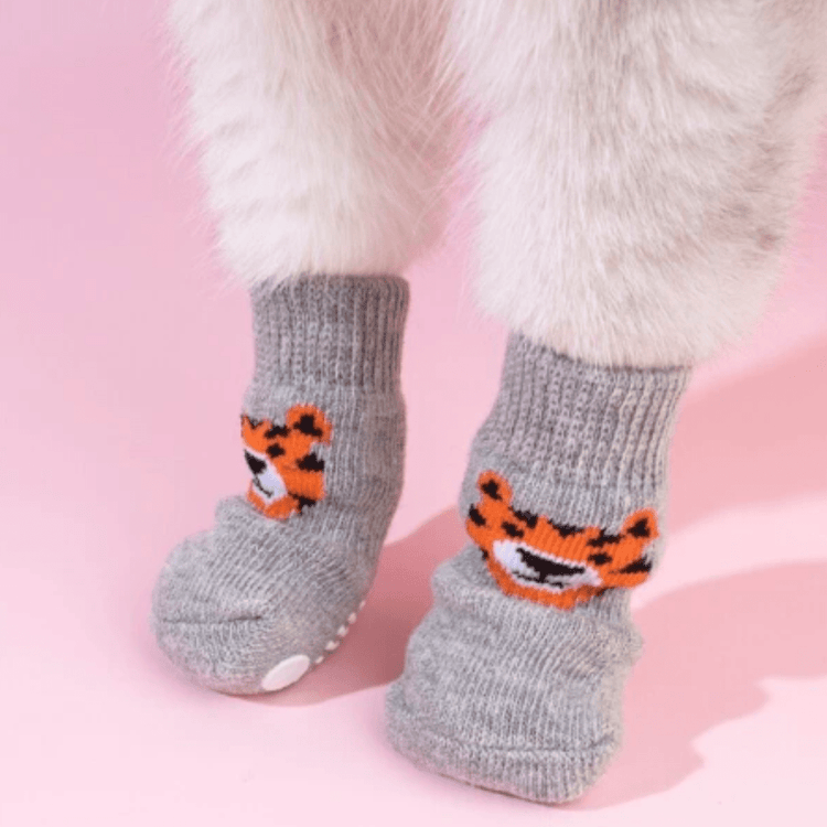 Pattes de chien avec nos chaussettes gris tigre