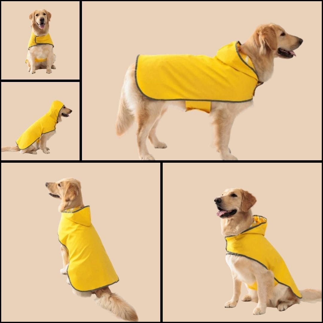Imperméable réversible jaune pour chien