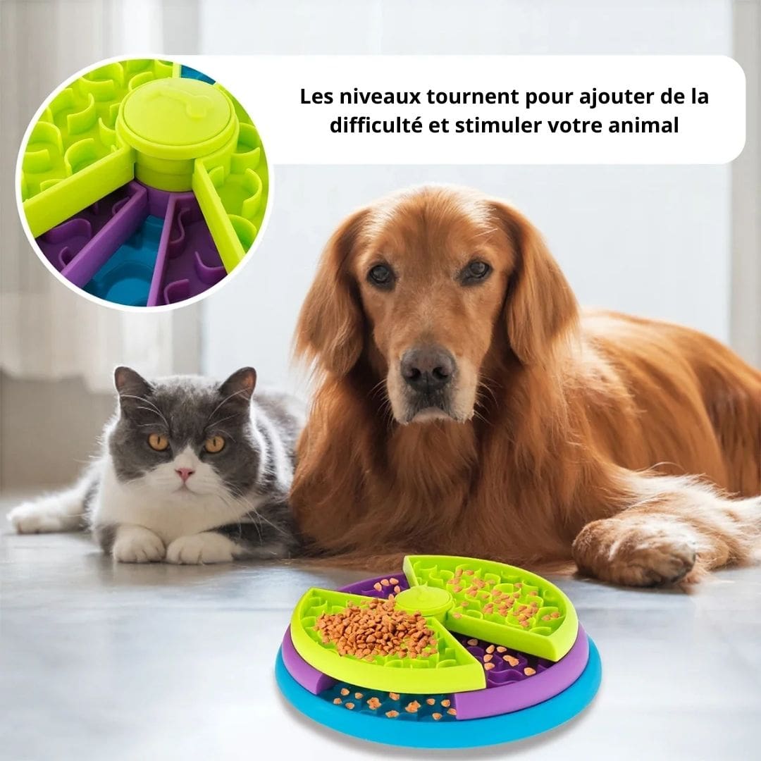 Informations sur notre gamelle puzzle anti-glouton pour chien