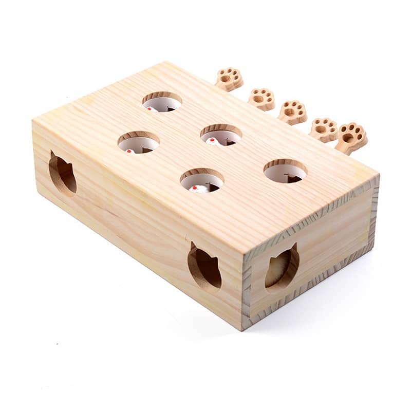 Puzzle de chasse en bois à 5 trous pour chat