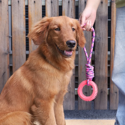 Nono™ : Anneau de jeu avec corde pour chien