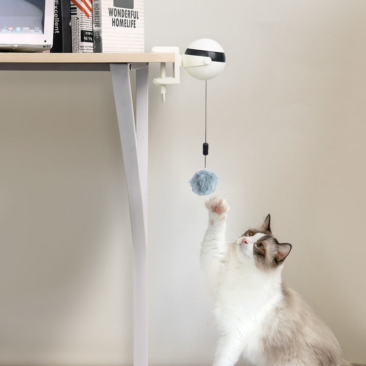 B-Tech™ : Jeu interactif de balle suspendue pour chat