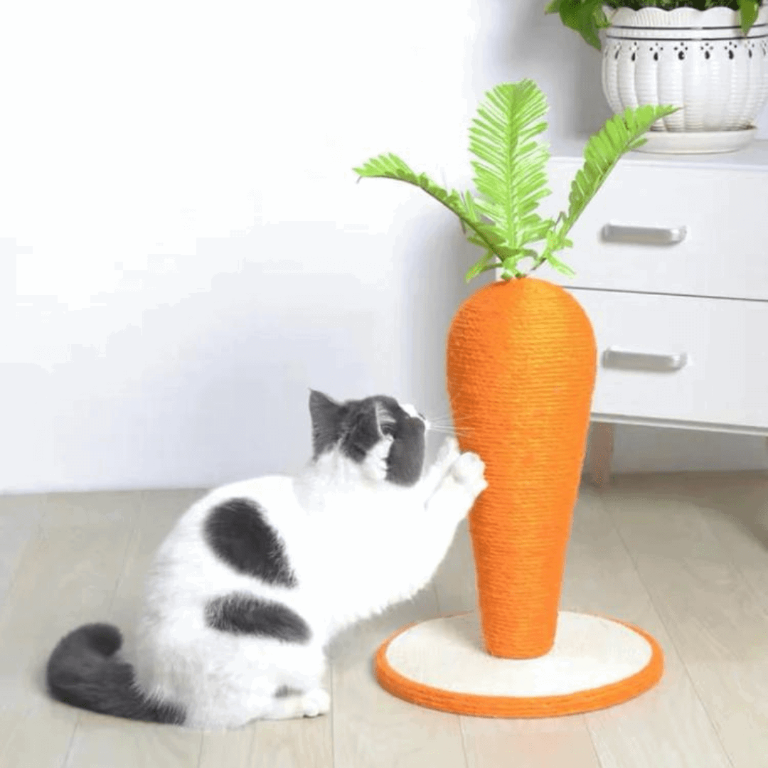 Chat ui fait ses griffes sur un griffoir pour chat en forme de carotte