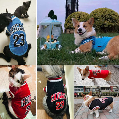 Avis clients de notre maillot de basketball pour chien