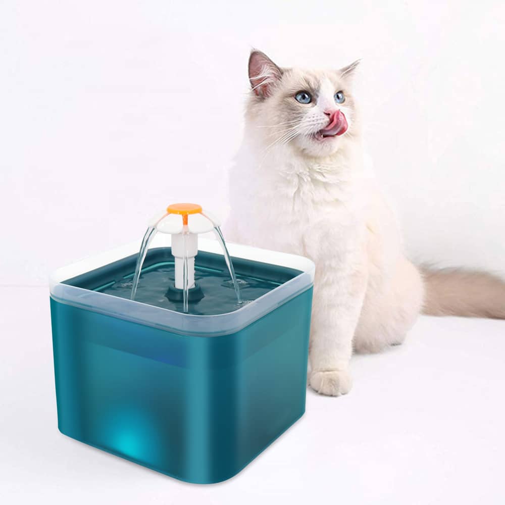 Fontaine à eau carrée avec LED pour chat