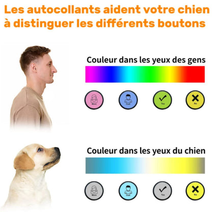 Perception des couleurs des chiens
