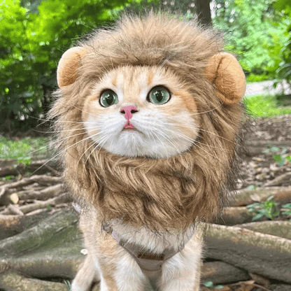 Perruque crinière de lion pour chat