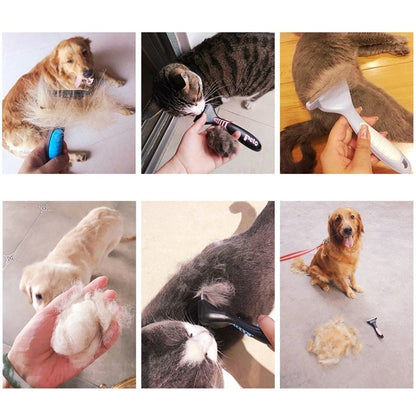 Photos clients avec notre brosse d'épilation pour animaux