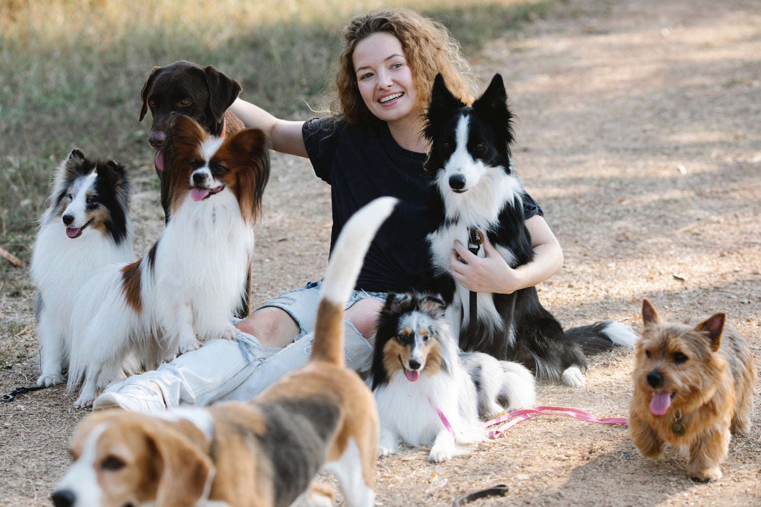 Femme accompagnée de plusieurs chiens