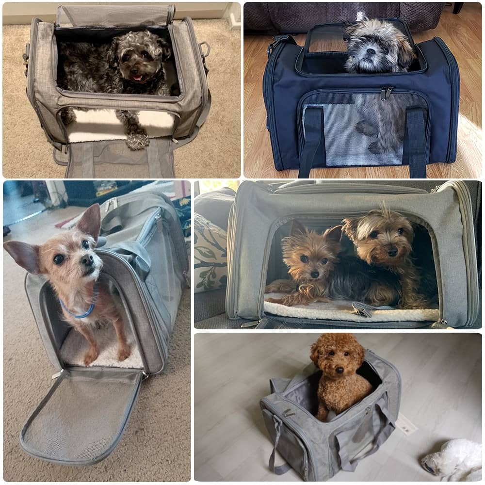 Photos des clients du sac de transport pour animaux