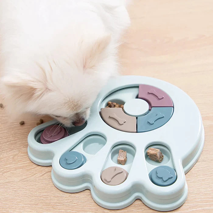 Chien qui joue avec un puzzle interactif à croquettes pour animaux