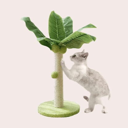 Chat avec un griffoir en forme de palmier pour chat