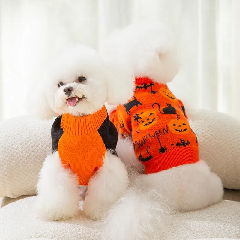 Pull Halloween pour chien